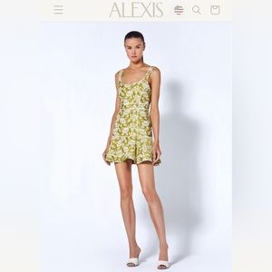 Alexis Nalle Dress